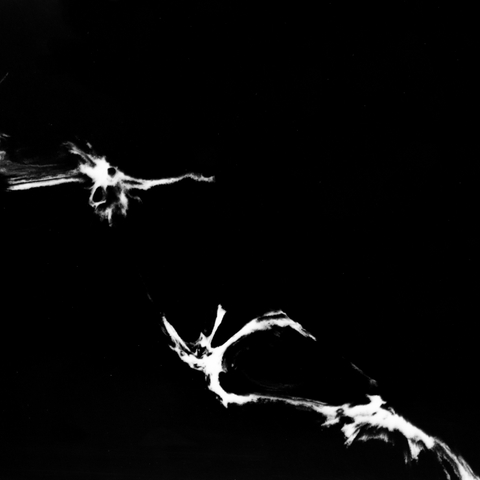 NightWave Luminoso 9034